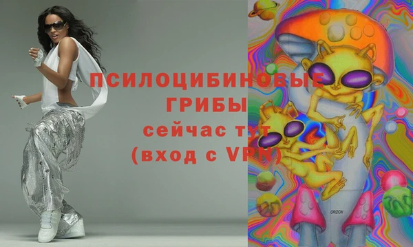 гидра Ладушкин