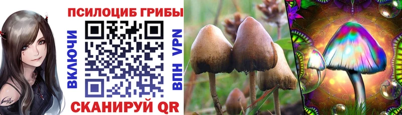Купить закладки  Магнитогорск  Псилоцибиновые грибы мухоморы 